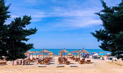 Viajes a FIESTA BALCÁNICA FIN BUCAREST 2026 en español | Agencia de Viajes Festival