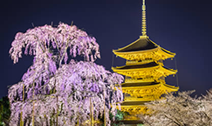 Viajes a JAPÓN Y CHINA TRADICIONAL 2025 en español | Agencia de Viajes Festival