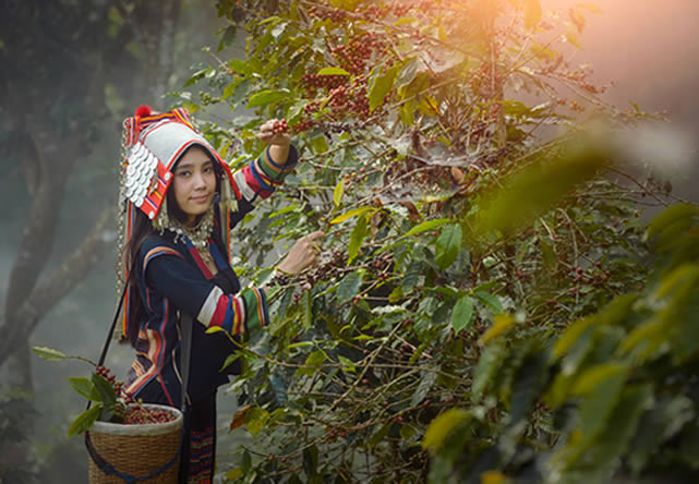 Viajes a GRAN CIRCUITO DE TAILANDIA Y LAOS ETERNO 2026 en español | Agencia de Viajes Festival