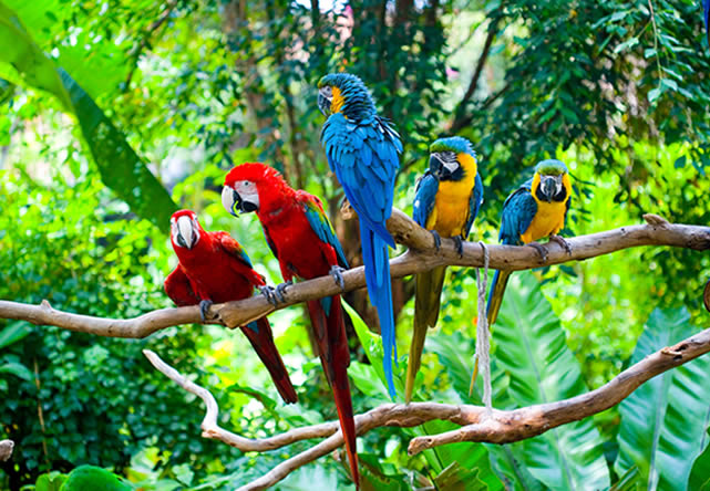 foto del viaje a costa rica en español 2026-2027