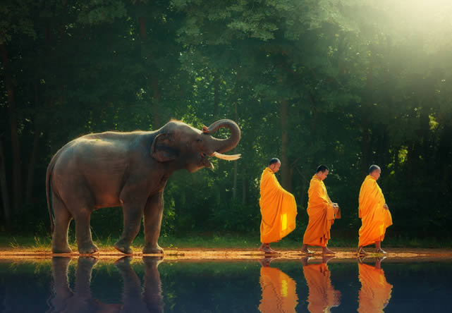 Foto del viaje a laos en Español 2026-2027